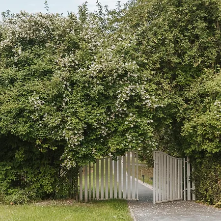 Bialy Prázdninový dům Lampa